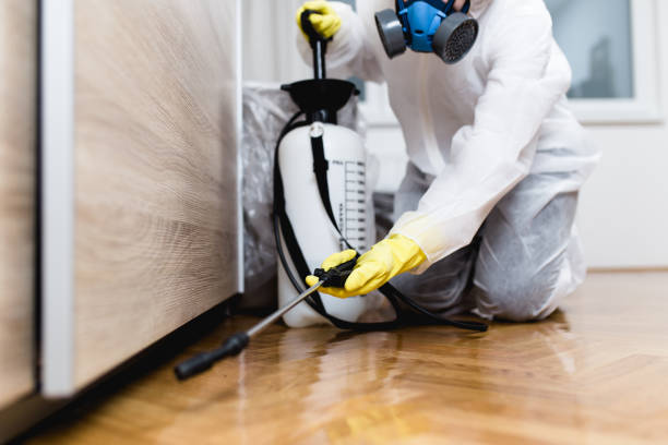 Best Exterminator Services  in Indian Springs Village, AL