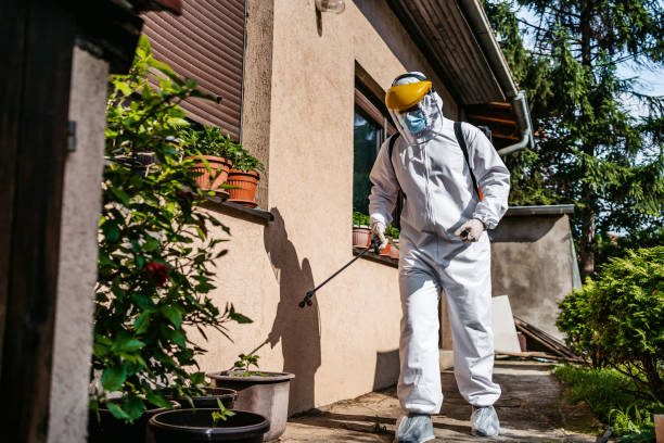 Best Mosquito Control Services  in Indian Springs Village, AL