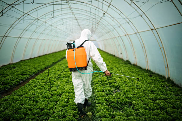Pest Control Cost in Indian Springs Village, AL