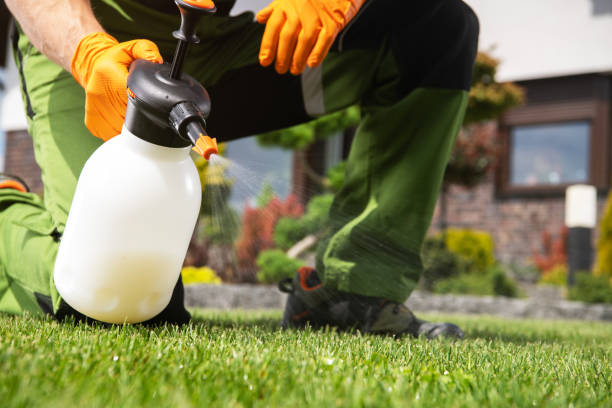 Best Pest Prevention Services  in Indian Springs Village, AL