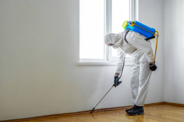 Best Best Pest Control Companies  in Indian Springs Village, AL